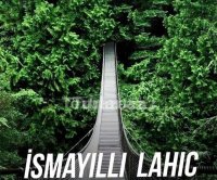 Lahıcın inkişafına xidmət edən məsuliyyətli idarəçilik – Əli Əlizadənin fəaliyyətinə baxış